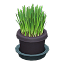 Animal Crossing Items Cat Grass Black