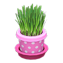 Animal Crossing Items Cat Grass Pink