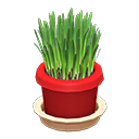 Animal Crossing Items Cat Grass Red