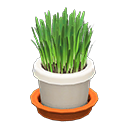 Animal Crossing Items Cat Grass White