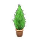 Animal Crossing Items Cypress Plant Brown