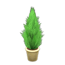 Animal Crossing Items Cypress Plant Yellow