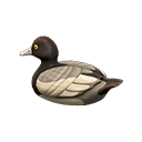 Animal Crossing Items Decoy Duck Greater scaup