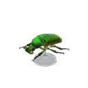 Animal Crossing Items Switch Drone Beetle Model