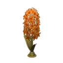 Hyacinth Lamp Yellow