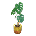 Animal Crossing Items Monstera Yellow