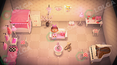 Animal Crossing Items Switch Pink princess