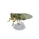 Animal Crossing Items Switch Walker Cicada Model