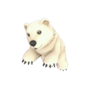 Team Fortress 2 Steam Polar Pal