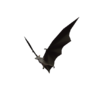 Team Fortress 2 Steam Guano