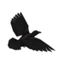 Team Fortress 2 Steam Quoth